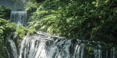 輕井澤白絲瀑布+榆樹街小鎮+石之教會 内村鑑三記念堂+雲湯池+矢崎公園一日遊