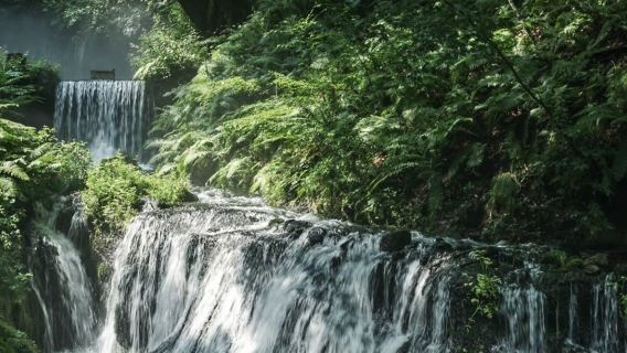 Karuizawa Shiraito Falls + Elm Town + Stone Church + Kumoba Pond + Yazaki Park 1-day tour