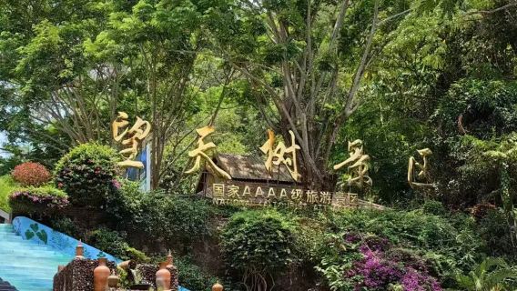 西雙版納望天樹景區一日遊【2-8人拼小團】