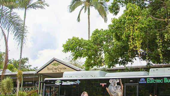 Kuranda Rainforestation with Kuranda Scenic Railway