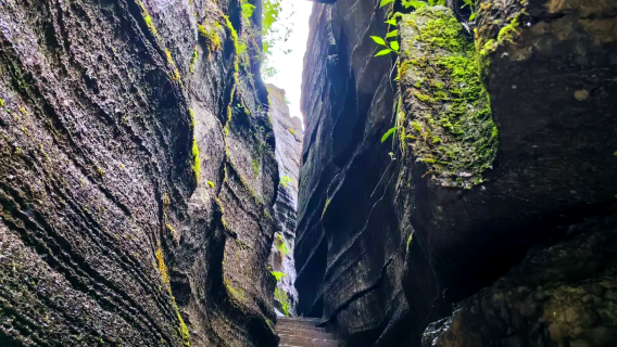 Enshi Grand Canyon Scenic Area & Suobuya Stone Forest & Shiziguan Pass in Hubei, China / Customized Tour / Hotel Transfer