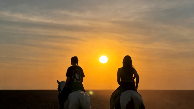 埃及赫爾戈達騎馬之旅 可選時段丨沙灘陸地丨可選日落時段