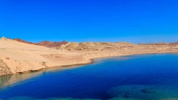 Private Half Day Tour By Minibus To Ras Mohammed National Park 