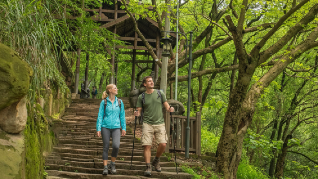 南山古道老街：4時間のハイキングツアー