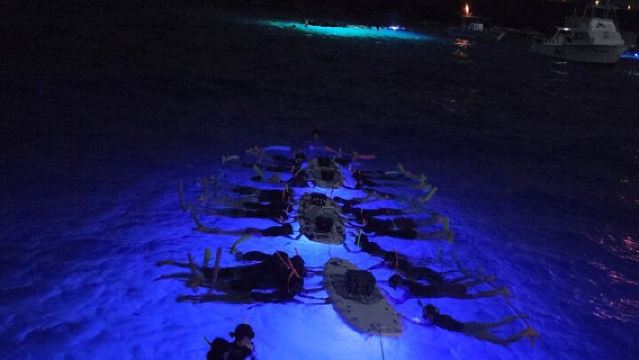 Glow of the Deep: snorkeling notturno con le mante