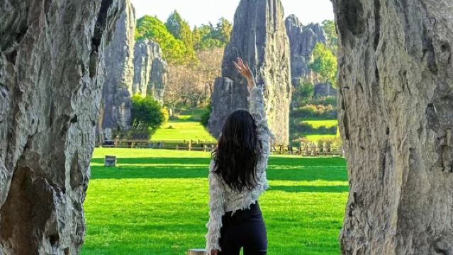 Lawatan sehari ke Kawasan Pemandangan Shilin - Kumpulan kecil 7 orang + Termasuk tiket masuk + Penghantaran percuma ke lokasi anda