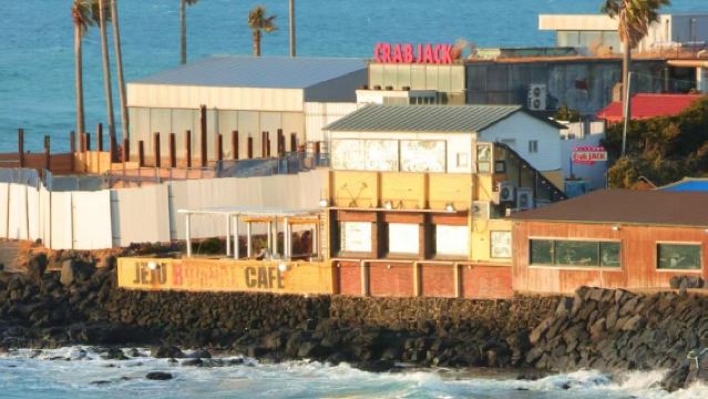 濟州島涉地可支+牛島+城山日出峰+月汀里東線共乘一日遊