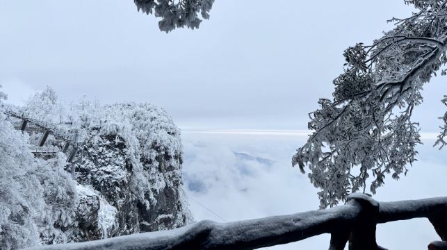 張家界導遊1對1人工講解服務|持證嚮導|全程陪同|（中文/英文/韓語/自駕遊私人導遊）張家界森林公園+天門山