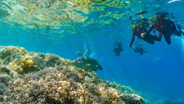 澳洲摩爾大堡礁雙體船遊艇之旅【浮潛、Sunlover滑水道、玻璃底船、兒童海洋圍欄泳池、水下觀景台】