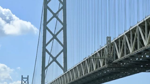 Round-trip from Osaka | 1-day tour to Wakayama Castle, Kuroshio Market and Akashi Kaikyo Bridge sea view