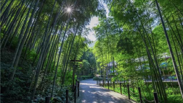 常州導遊講解服務