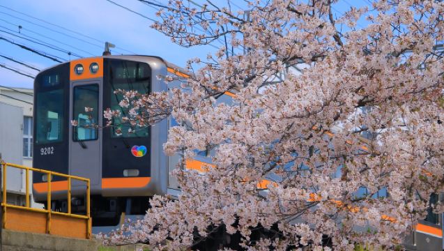 Hanshin electric railway 24-hr pass/Port Liner · Hanshin electric railway 24-hr pass