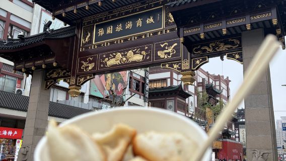 Experiencia cultural tradicional en el Jardín Yuyuan y el Templo del Dios de la Ciudad de Shanghái: Exploración humanística del confucianismo, budismo y taoísmo con opción de té chino