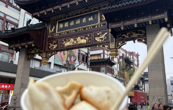 Shanghai Yu Garden + City God Temple Traditional Culture Experience: Professional Tour Guide Service, Optional Chinese Tea