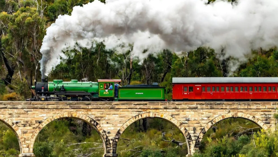 雪梨藍山三姐妹峰＋百年蒸汽小火車＋The Blue Mountains Botanic Garden一日遊