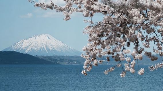 [Più venduto] Tour di un giorno a Noboribetsu e Lago Toya, Hokkaido: Jigokudani + Monte Showa Shinzan