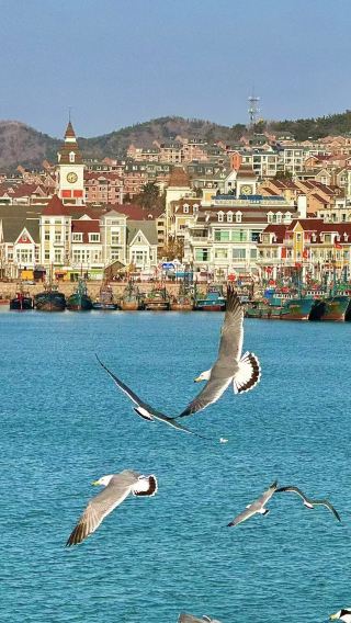 Dalian Golden Pebble Beach National Tourism Resort day tour | geological park + golden coast [door-to-door pick-up\private charter, admission ticket not included]