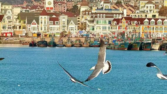 Dalian Jinshitan Günübirlik Turu | Jeoloji Parkı + Altın Sahil [Kapıdan Alma / Özel Araçla Gezi]
