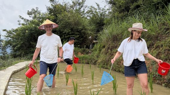 Longji Authentic Yao Farm Life Experience: Golden Rice Terraces & Hands-On Heritage