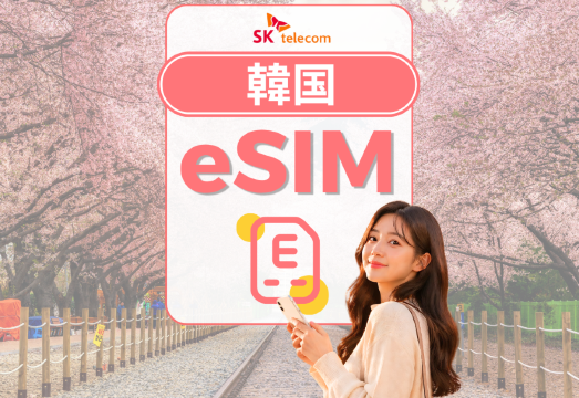 SKテレコム  データクーポン ジョングク 韓国 eSIM | SKテレコム 5G 4G データ| ChatGPT利用可能 | 電話番号