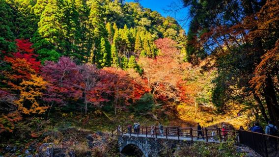 Tour zum Berg Aso und zur Takachiho-Schlucht mit optionaler Bootsfahrt