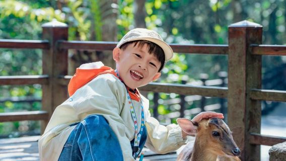 私人導覽·普洱太陽河森林公園+普洱咖啡莊園（9選1）一日遊