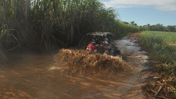 Bayahibe: Extreme Buggy-Tour und schlammige Dschungelpfade