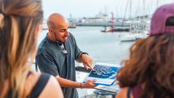 Limassol Walking Tour: A Local Architect's Insight