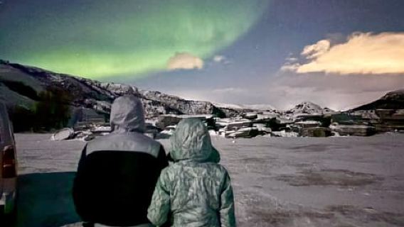 Alta: The Northern Lights Bus – A warm and Local Experience