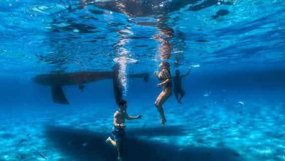 Cagliari: Mari Pintau Sailing Trip with Lunch & Snorkeling