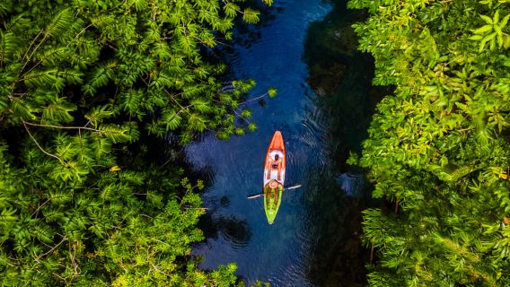 Krabi: Aventura en kayak por el bosque de manglares de Ao Thalane