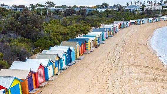 Lawatan sehari Rumah Warna-warni Melbourne + Tren Stim + Penguin Pulau Phillip Kembali ke Sarang