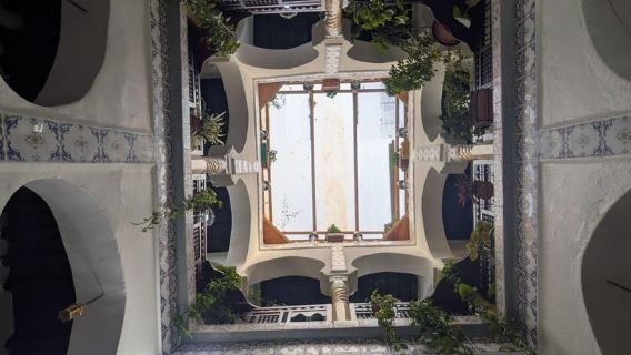The Essential Algiers: Casbah, Monuments & Local Life