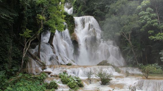 Luang Prabang Full Day Kuang Si Waterfalls & Lao Buffalo Dairy Farm
