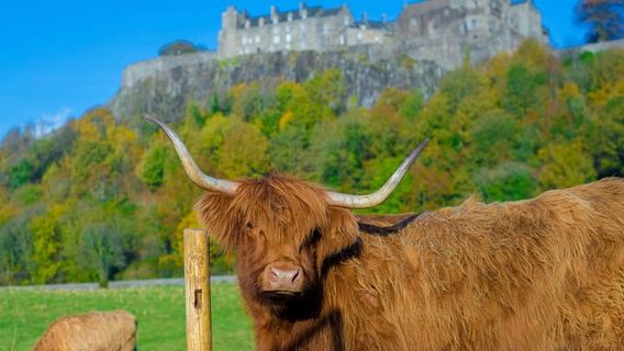 StirlingTours