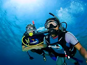 印尼科莫多島+科莫多國家公園體驗潛水水肺潛水8小時【3次深潛+浮潛+午餐+客艙船票】