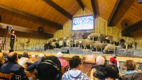 New Zealand Rotorua Farm Sheep Shearing Show + Animal Interaction Tractor Tour-Special activity