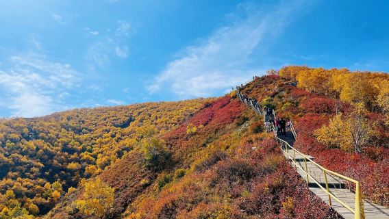 馬鞍山景區+五當召一日遊【包車出行+上門接駁+司機+油費】