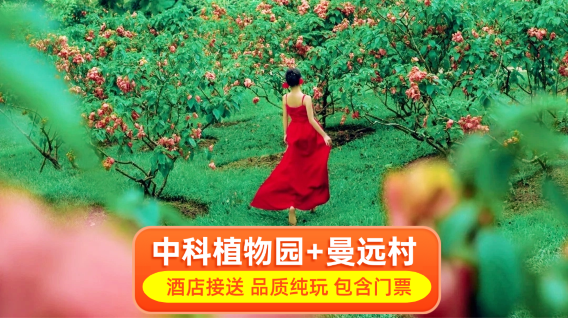 西雙版納日遊