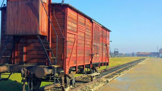 Auschwitz-Birkenau: Entry Ticket + Guided Tour