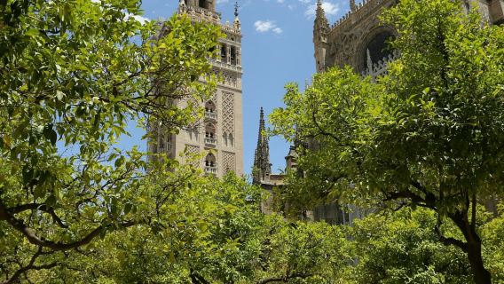 Cattedrale di Siviglia: biglietto d'ingresso + visita guidata
