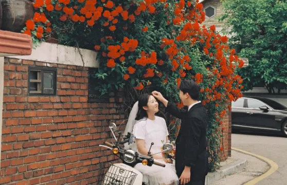 岳陽Trip Moments【婚禮跟拍 街拍 抓拍 航拍 攝影錄影/多語言翻譯/底片全送/動作指導】