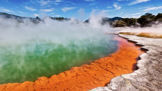 紐西蘭·漢密爾頓懷奧塔普+蒂普亞毛利文化村+紅杉森林+天際線纜車一日遊