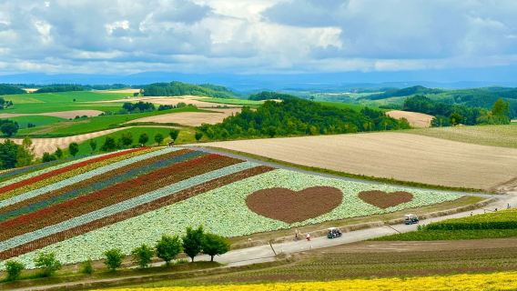 Japan Hokkaido Biei Blue Pond Furano Flower Sea one-day tour[Source Self-operated|Pure Play Group