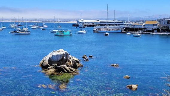 美國17裡灣風景線+卡梅爾小鎮+卡梅爾海灘+老漁人碼頭一日遊