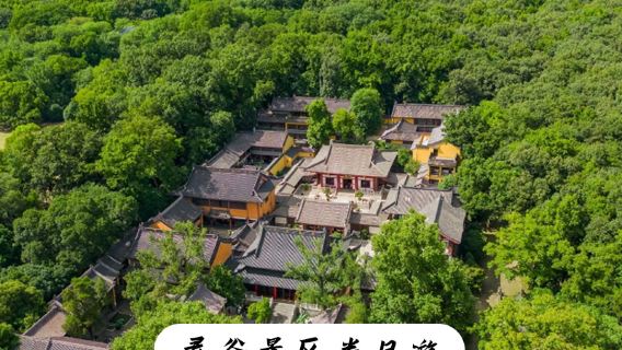 靈谷景區半日遊【精品遊】【深層次】【私人導覽】【含門票】