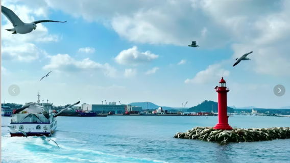 西歸浦市日遊