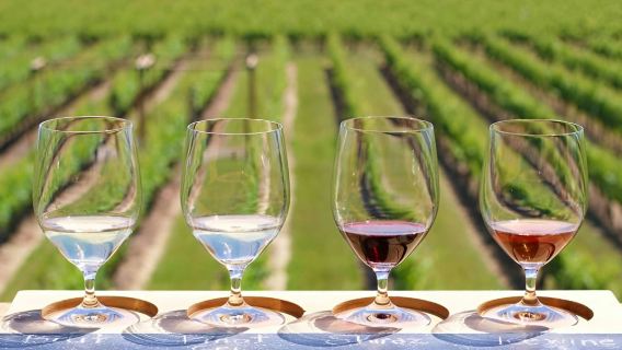 Niagara-on-the-Lake, Market & Winery Visit: Guided Tour from Toronto