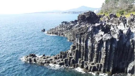 西歸浦市日遊
