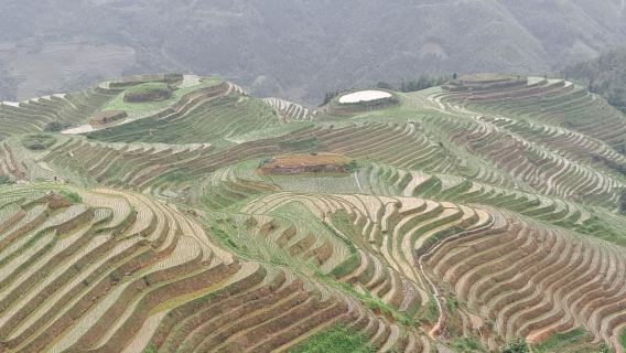 1-Day private Longji rice terraces with the Zhuang and Yao villages tour